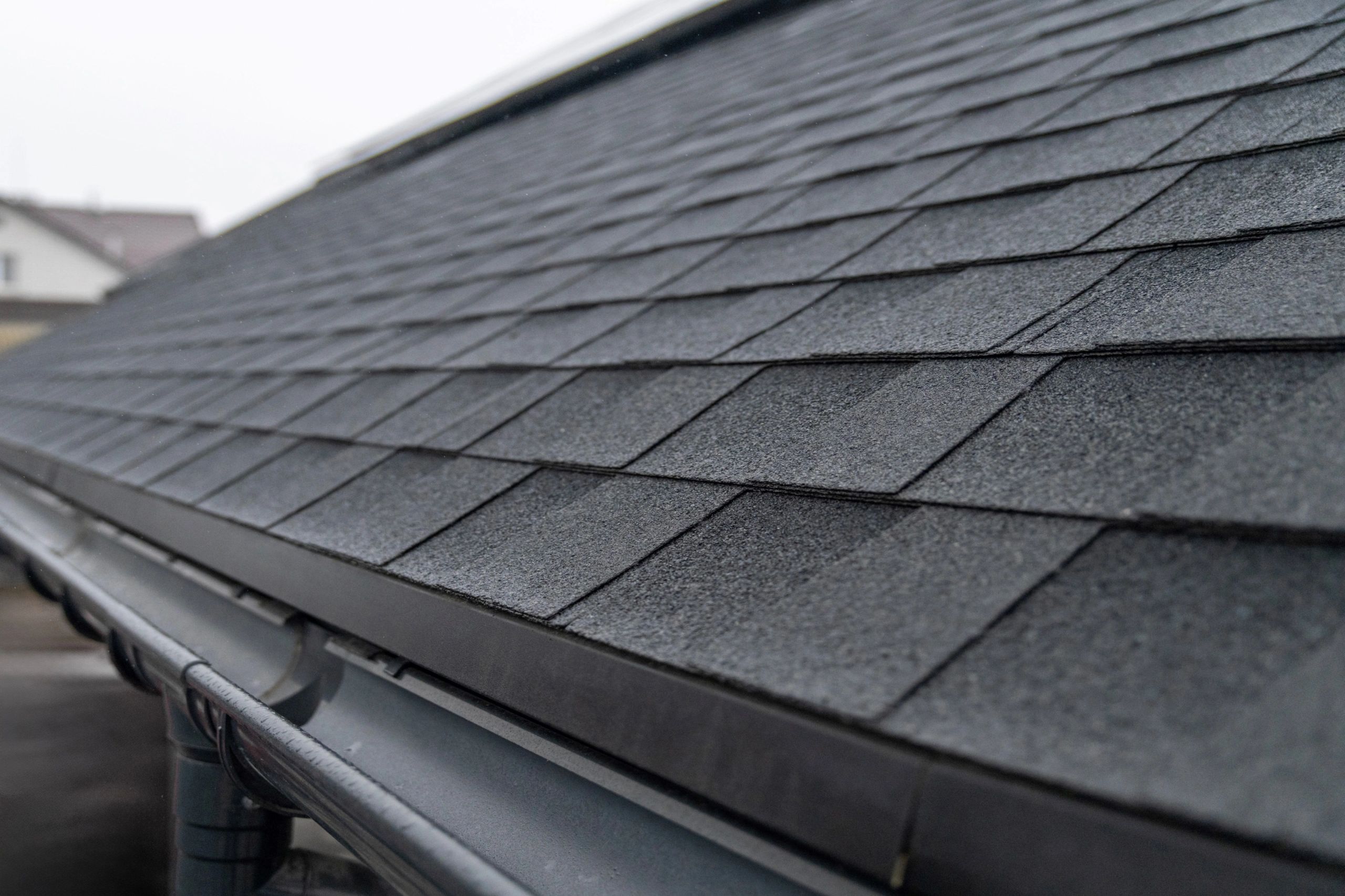 Roof inspection and repair planning